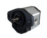 Group 1 Series Gear Pump