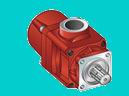 PE70-100 SE PISTON PUMP